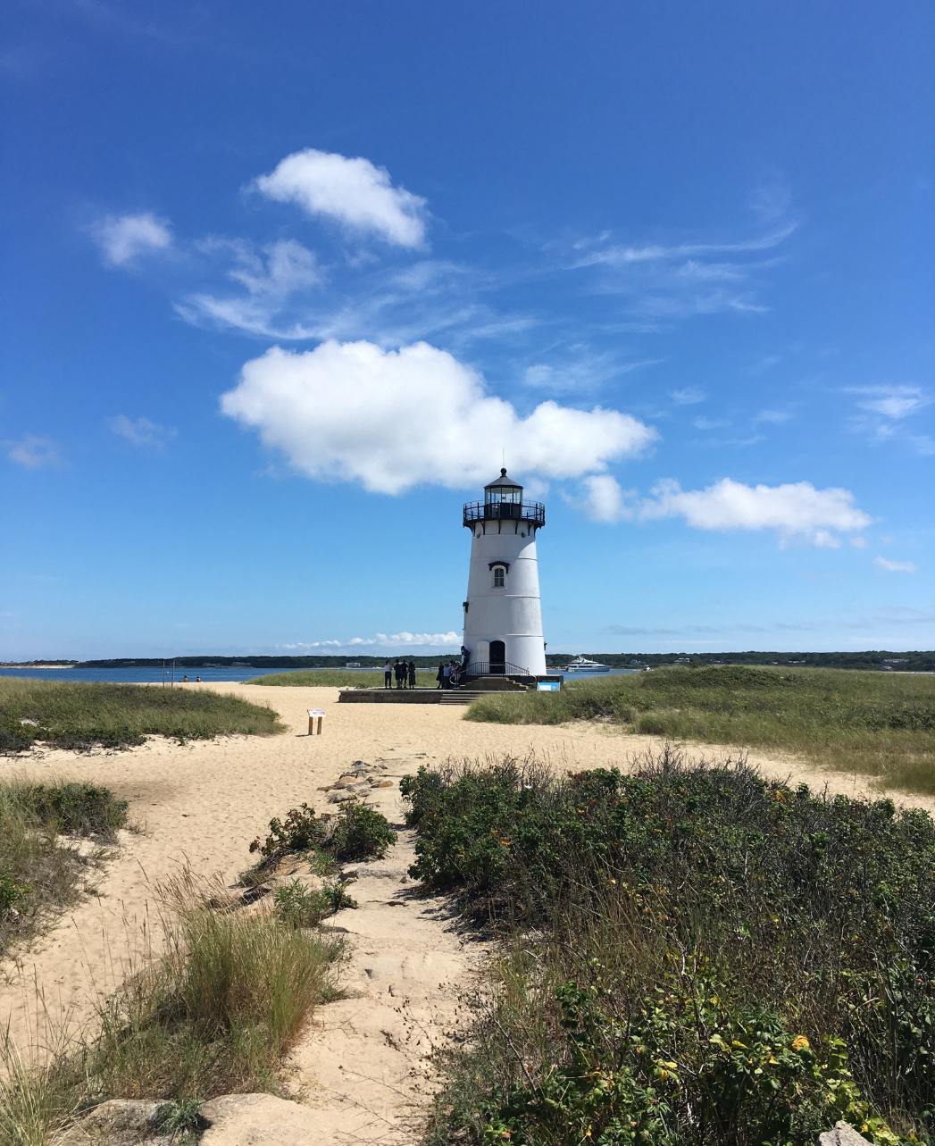 martha's vineyard lighthouse tour